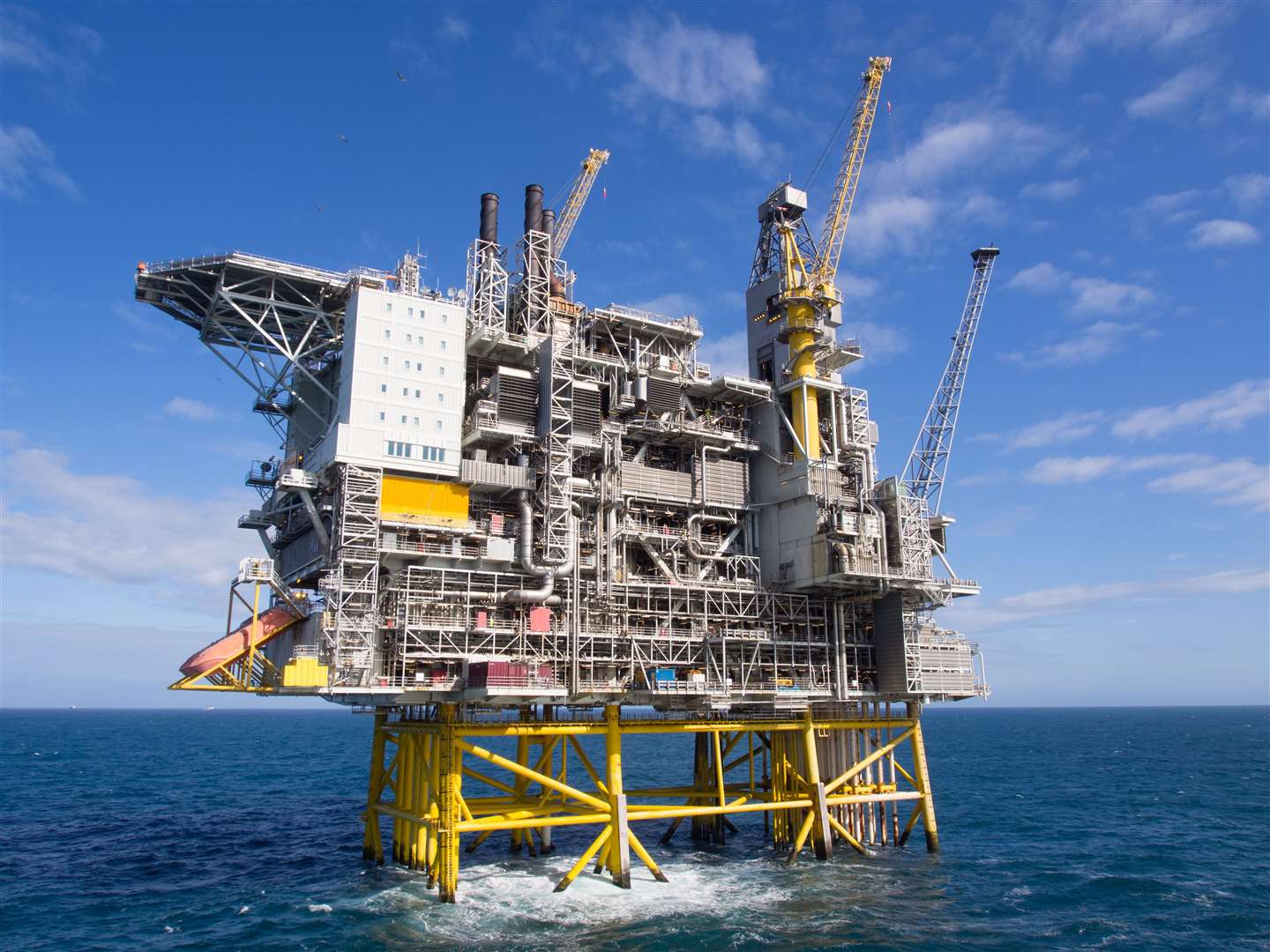 Oil